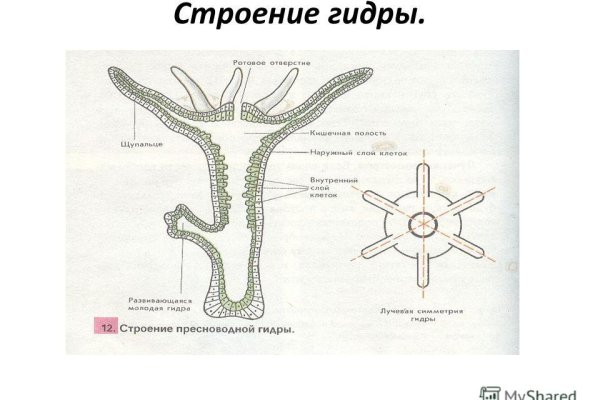 Кракен лого маркетплейс