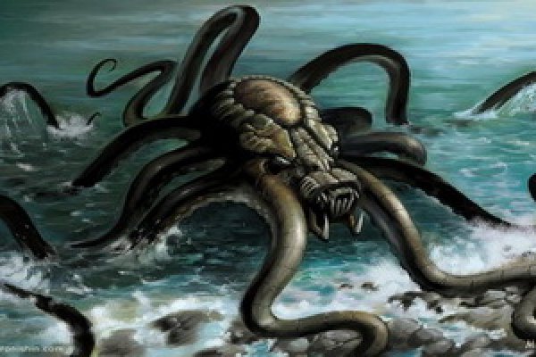 Kraken 20at