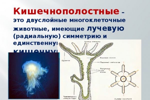 Кракен 9ат