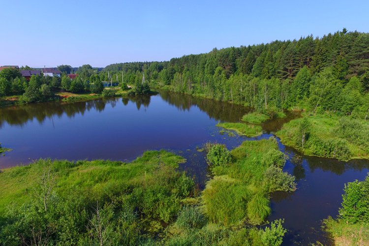 Зайти кракен через тор